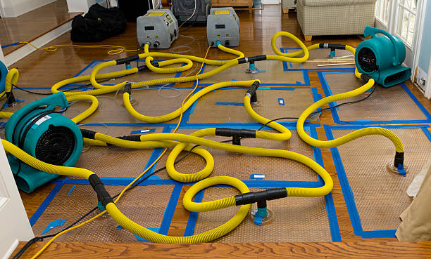 Professional Crawl Space Water Removal technician working in Nottingham, NH